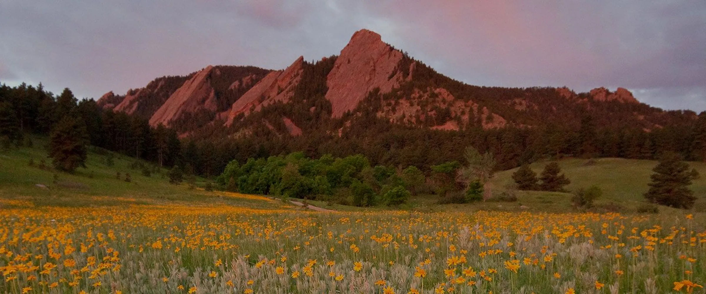 Boulder area landscape