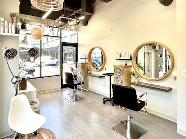 Inside Indie Salons